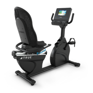 TRUE PERFORMANCE RECUMBENT BIKE