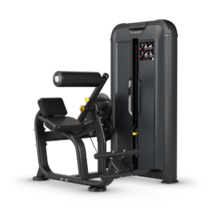 Vision Ab / Low Back